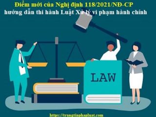 Nghị định số 118/2021/NĐ-CP ngày 23/12/2021 của Chính phủ quy định chi tiết một số điều và biện pháp thi hành Luật Xử lý vi phạm hành chính